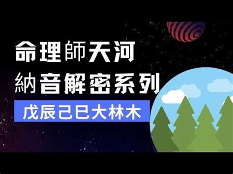 辛巳納音|易學象數論/納音